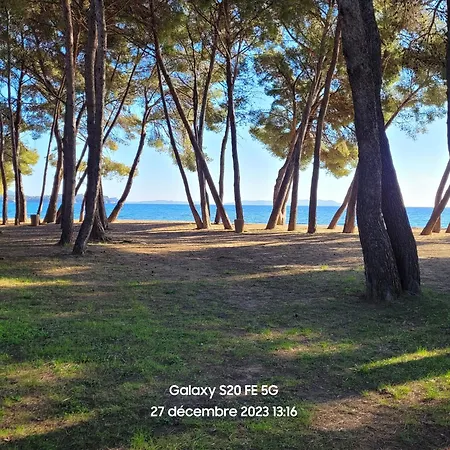 T3 70m2 Renove Rdc, 50m Plage,climatise Avec Grd Terrasse L'argentiere *